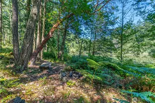 230 Serendipity Ln, Orcas Island, WA 98243 - Photo 30