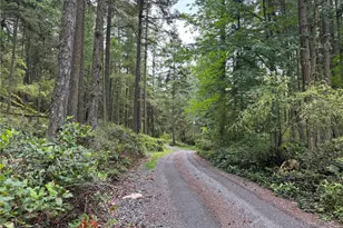 230 Serendipity Ln, Orcas Island, WA 98243 - Photo 36