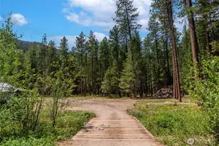 43 Davelaar Dr, Mazama, WA 98833 - Photo 36