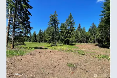 0 Xx Lynch Road, McCleary, WA 98557 - Photo 4