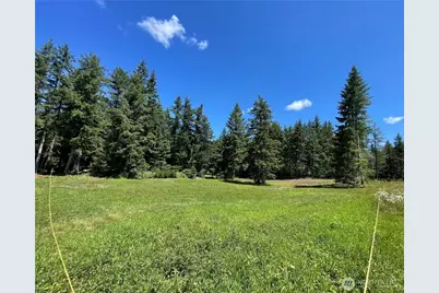 0 Xx Lynch Road, McCleary, WA 98557 - Photo 1
