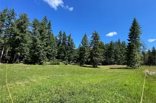 0 Xx Lynch Rd, McCleary, WA 98557 - Photo 1