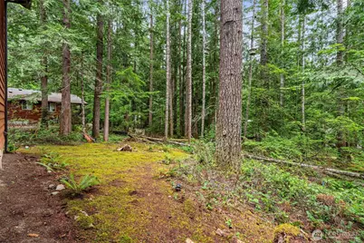 390 N Potlatch N, Hoodsport, WA 98548 - Photo 36