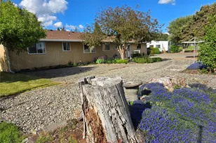 14615 Mud Run Rd SE, Yelm, WA 98597 - Photo 6