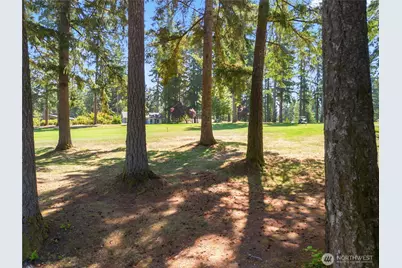 260 E Penzance Road, Shelton, WA 98584 - Photo 4