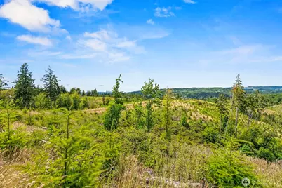 0 Lot B Holcomb Road, Kelso, WA 98626 - Photo 8