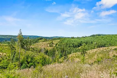 0 Lot C Holcomb Road, Kelso, WA 98626 - Photo 4