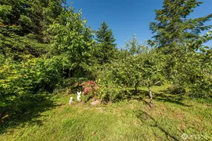 1833 Eaglemount Rd, Port Townsend, WA 98368 - Photo 28