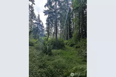 0 Maxwelton Road, Langley, WA 98260 - Photo 8