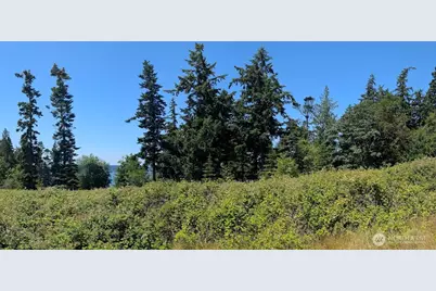 4400 S Camano Drive, Camano Island, WA 98282 - Photo 6