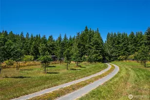 866 Cherry Tree Ln, Lopez Island, WA 98261 - Photo 36