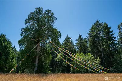 866 Cherry Tree Lane, Lopez Island, WA 98261 - Photo 28