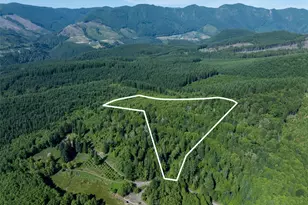461 Kjesbu Rd, Silver Creek, WA 98585 - Photo 12