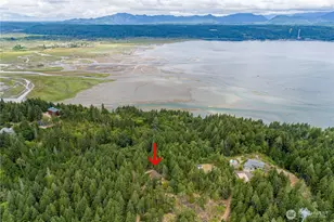 151 E Skyview Dr, Union, WA 98592 - Photo 22