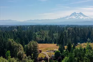 34721 40th Ave S, Roy, WA 98580 - Photo 36