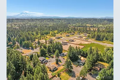 6304 255th Street Ct E, Graham, WA 98338 - Photo 38