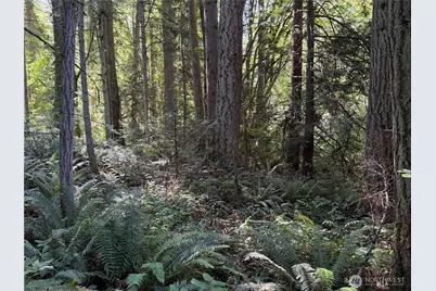 156 Xx Lot 1 Marine Drive, Stanwood, WA 98292 - Photo 8