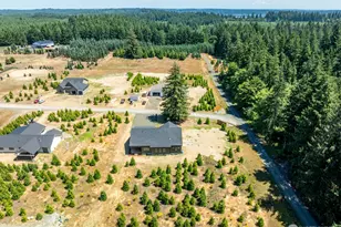 91 SE Dusty Ln, Shelton, WA 98584 - Photo 24