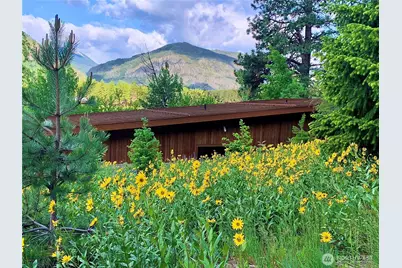63 Chechaquo Ranch Road, Mazama, WA 98833 - Photo 4