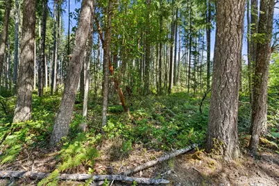 1030 E Phillips Lake Road, Shelton, WA 98584 - Photo 2