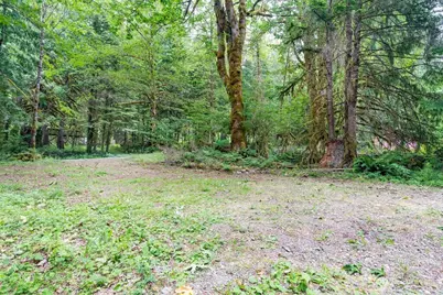 872 High Ridge Drive, Marblemount, WA 98267 - Photo 8