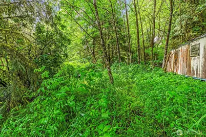 1503 W State Route 4, Skamokawa Valley, WA 98647 - Photo 10