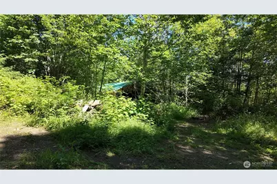 45028 Baker Lake Road, Concrete, WA 98237 - Photo 26