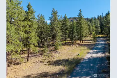 16 Highland Meadow Road, Winthrop, WA 98862 - Photo 4