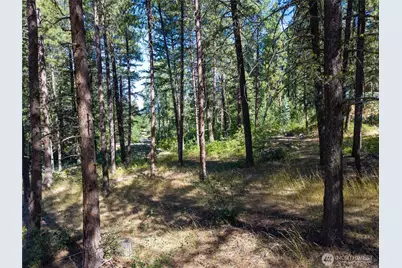16 Highland Meadow Road, Winthrop, WA 98862 - Photo 10