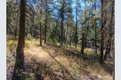 16 Highland Meadow Road, Winthrop, WA 98862 - Photo 8