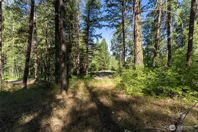 16 Highland Meadow Road, Winthrop, WA 98862 - Photo 22
