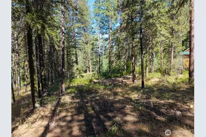 16 Highland Meadow Road, Winthrop, WA 98862 - Photo 12