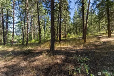 16 Highland Meadow Road, Winthrop, WA 98862 - Photo 20