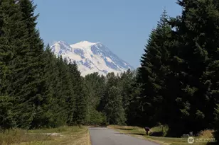 15330 159th Ln SE, Yelm, WA 98597 - Photo 38