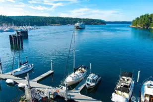 241 Warbass Way, Friday Harbor, WA 98250 - Photo 6