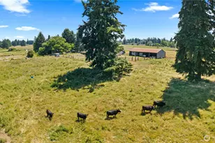 12717 Zeller Rd SE, Yelm, WA 98597 - Photo 36
