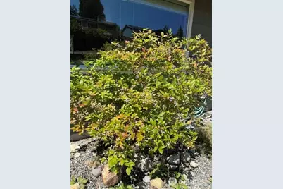 11267 145th Avenue SE, Renton, WA 98059 - Photo 28