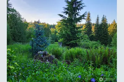 234 Markum Lane, Winlock, WA 98596 - Photo 32
