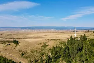 790 Fs Rd 3506, Ellensburg, WA 98926 - Photo 34