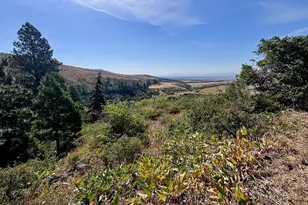 790 Fs Rd 3506, Ellensburg, WA 98926 - Photo 30