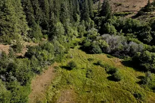 790 Fs Rd 3506, Ellensburg, WA 98926 - Photo 32