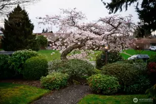 4915 Rucker Ave, Everett, WA 98203 - Photo 36