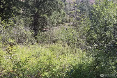 613 East Chewuch Road, Winthrop, WA 98862 - Photo 14