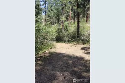 613 East Chewuch Road, Winthrop, WA 98862 - Photo 6