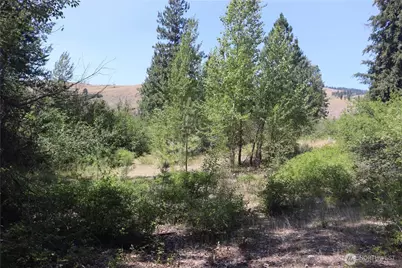 613 East Chewuch Road, Winthrop, WA 98862 - Photo 16