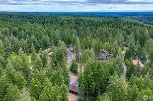 30 E Paint Brush Ln, Union, WA 98592 - Photo 26