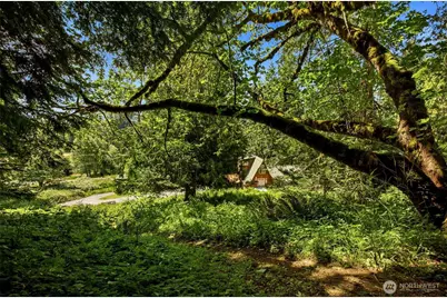 33217 Mount Tahoma Canyon Road E, Ashford, WA 98304 - Photo 34