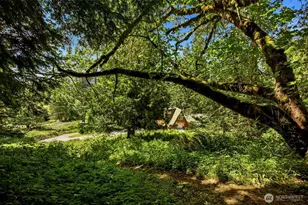 33217 Mt Tahoma Canyon Rd E, Ashford, WA 98304 - Photo 34