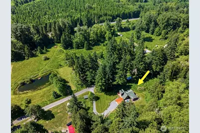 33217 Mount Tahoma Canyon Road E, Ashford, WA 98304 - Photo 38
