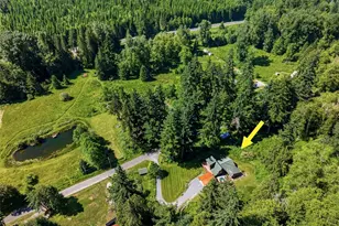 33217 Mt Tahoma Canyon Rd E, Ashford, WA 98304 - Photo 38